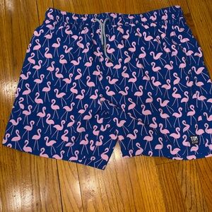 Tom & Teddy Navy Flamingo Print Shorts
